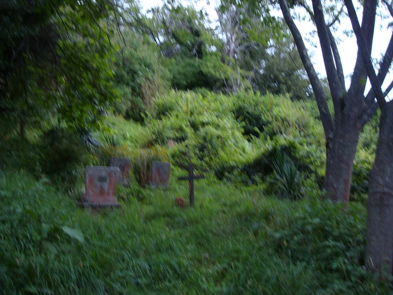 sulevi-troitski_kalmistu_89.jpg