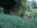 sulevi-troitski_kalmistu_88