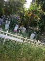 vesjoloje_kalmistu_01